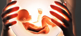 Донорство яйцеклеток